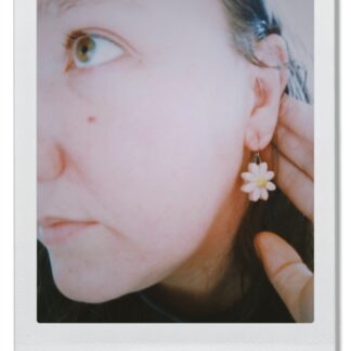 Harriet's Daisys